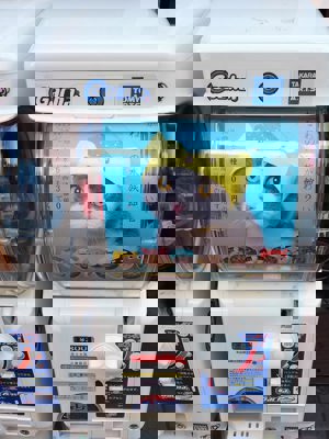 Cat Accessory Gashapon!