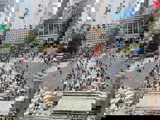 View of Shibuya Crossroads