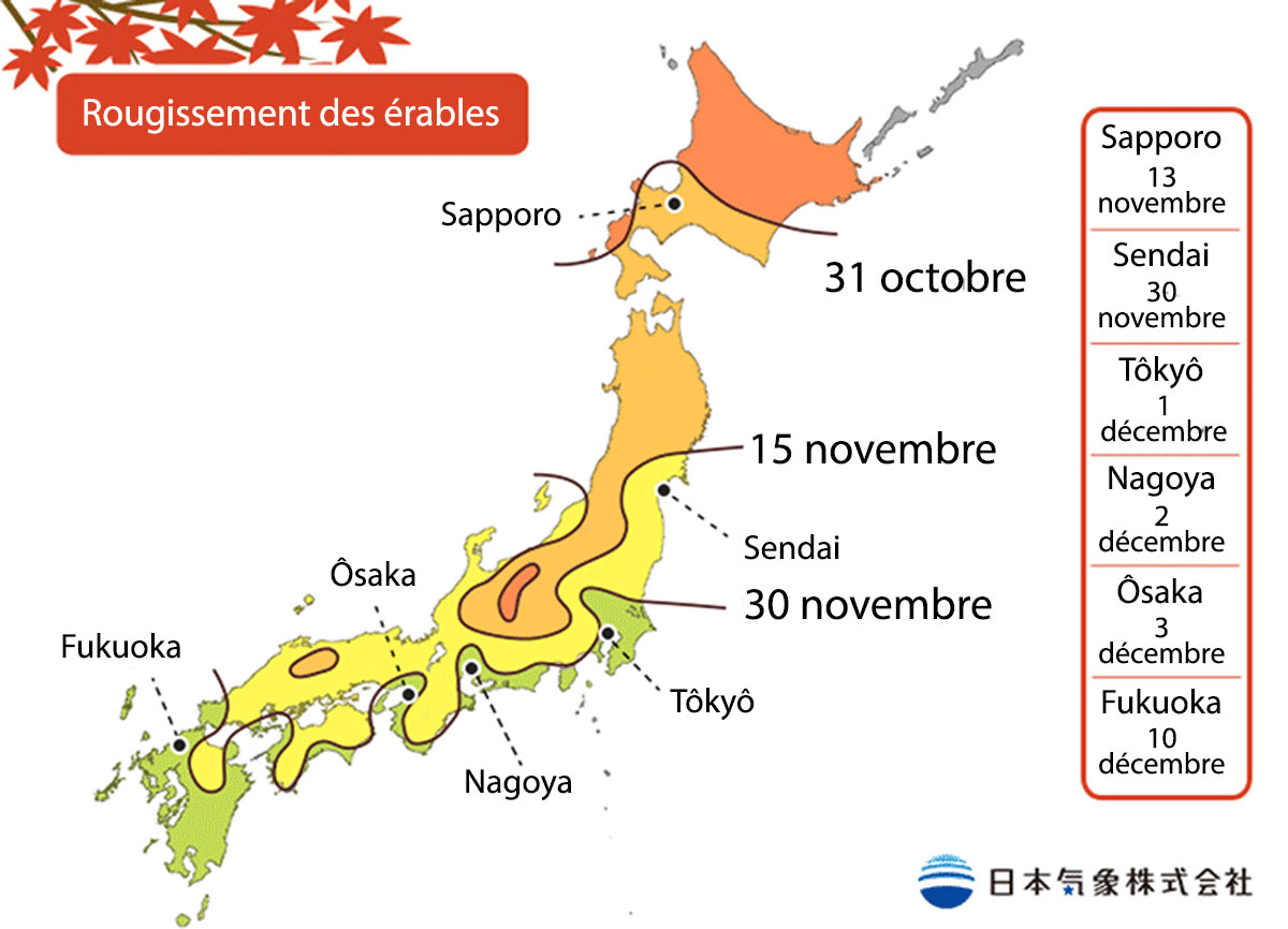 Prévisions du rougissement des érables par la JMA