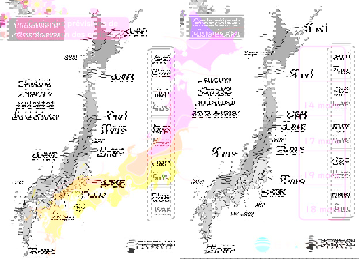Calendrier 2023 de la floraison des cerisiers