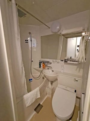 Bathroom of a budget hotel