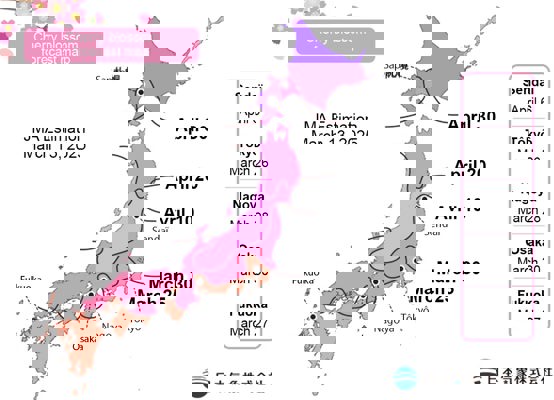 JMA cherry blossom forecast for 2025