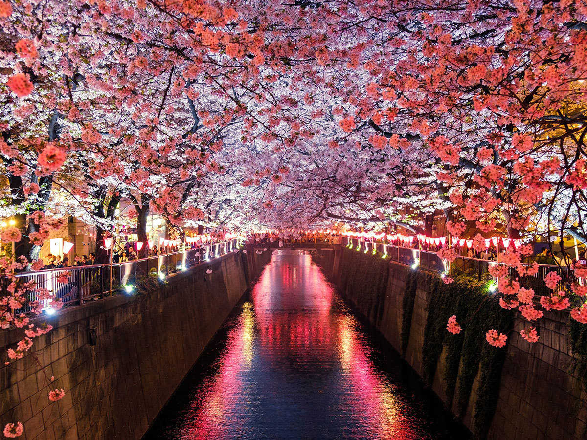 Is Japan the right destination for me?