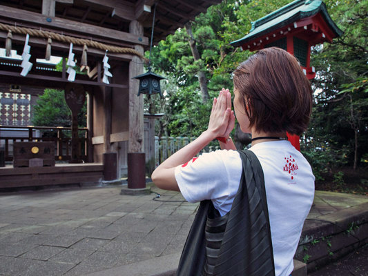 Visit Tokyo with a volunteer guide