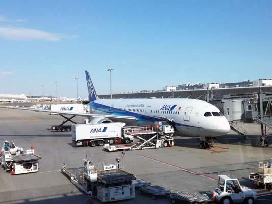 ANA plane