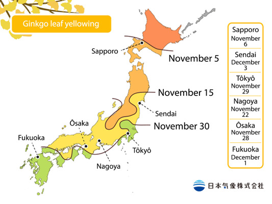 Ginkgo Yellowing Forecast by JMA
