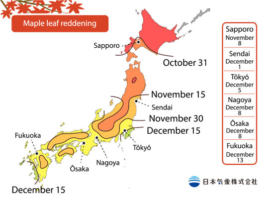 Maple Reddening Forecast by JMA