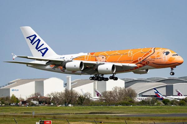 ANA airplane
