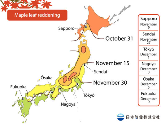 JMA Maple Reddening Forecast