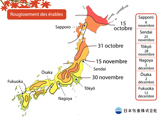 Pr&eacute;visions du rougissement des &eacute;rables par la JMA