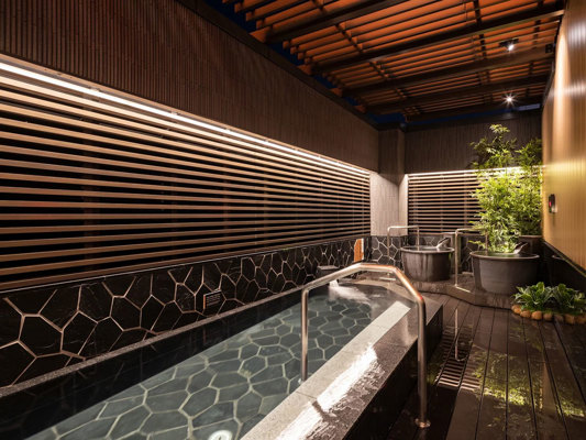 APA Ueno Ekiminami Hotel Bath