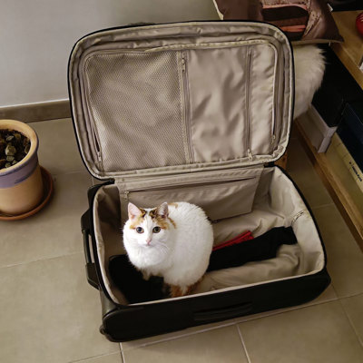 Organize your suitcase