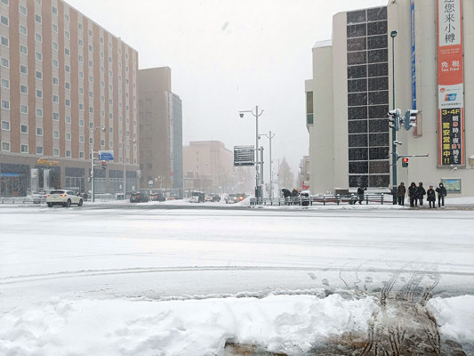 Sapporo to Hokkaido, January