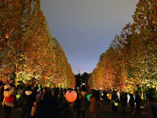 Shinjuku Gyoen, Tôkyô