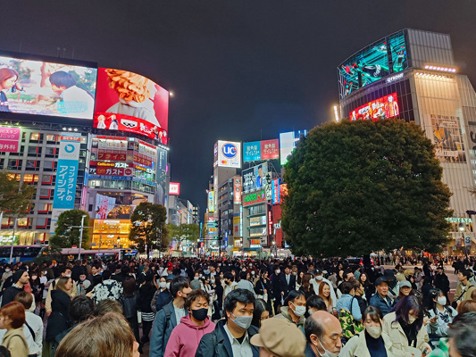 Famous Shibuya Crossing