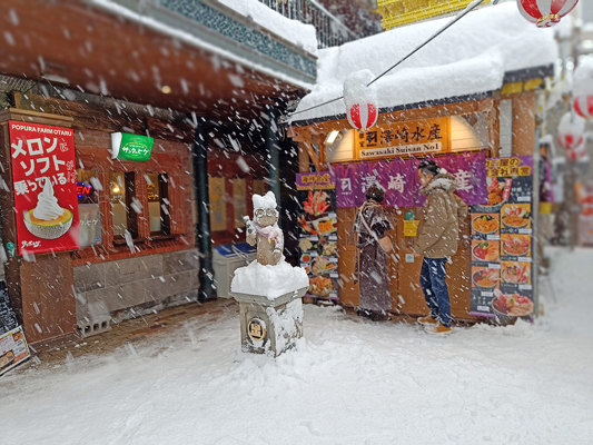 Otaru in Hokkaido, January