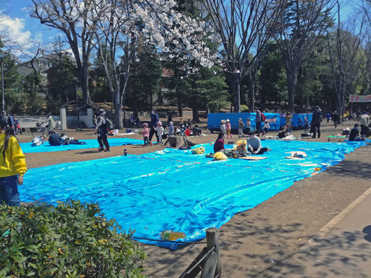 Picnic area at Inokashira Park