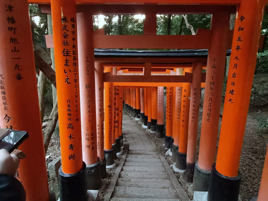 The thousands of Torii of Fushimi Inari, Kyoto