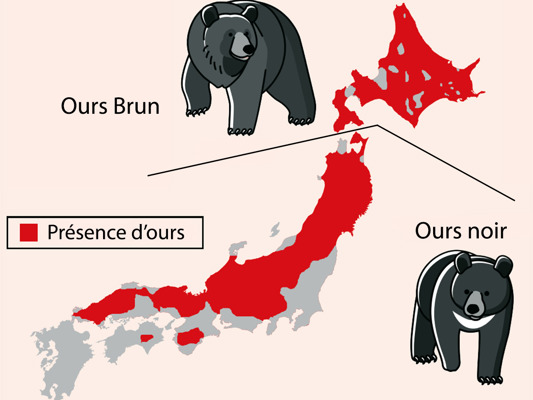 Carte de la présence d'ours au Japon