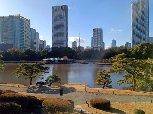 Hama-Rikyû Garden in winter
