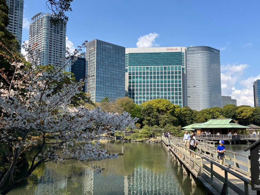 Shioiri Pond in spring