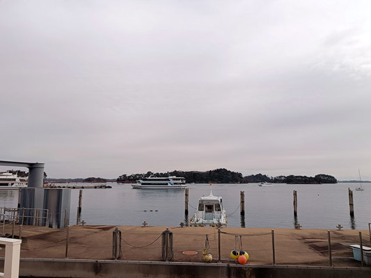 View of the island from the coast
