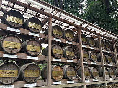 Burgundy wine barrels