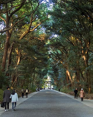 Meiji Jingû Sanctuary
