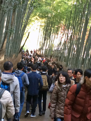 "Normal" crowds in Arashiyama