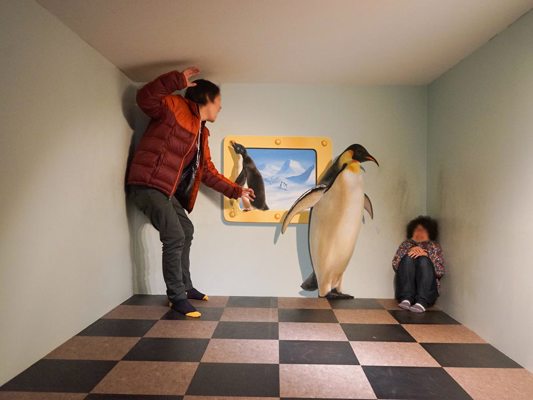 Photo in the visual trick museum