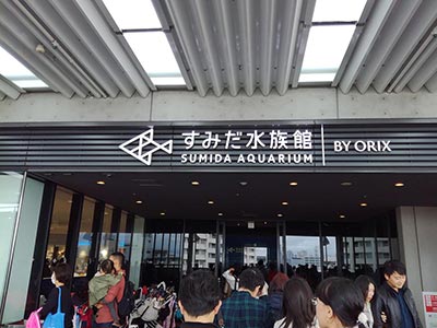 Aquarium queue