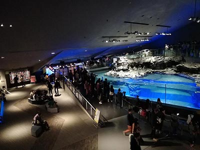 General view of the interior