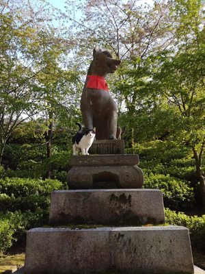 Fox, messenger of the goddess Inari