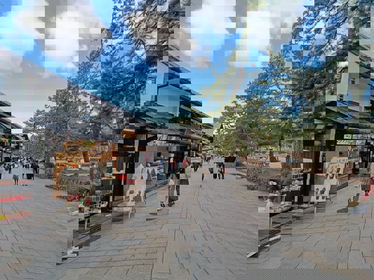 Shops at the edge of the park