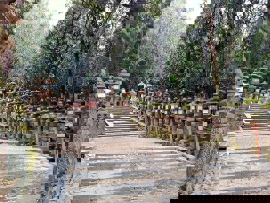 Lanterns of the Kasuga Taisha