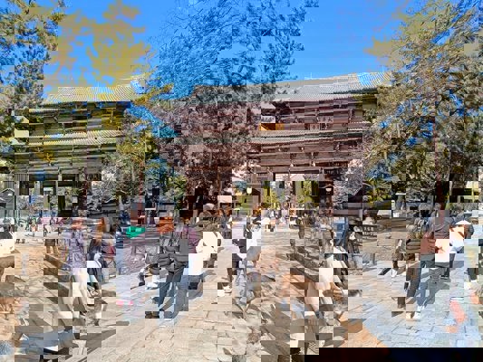 Deer in front of the gate of Todai-ji