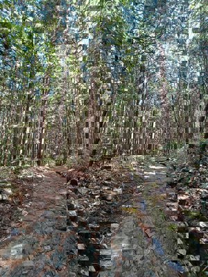 Nakasendô paved path near Ochiai Juku