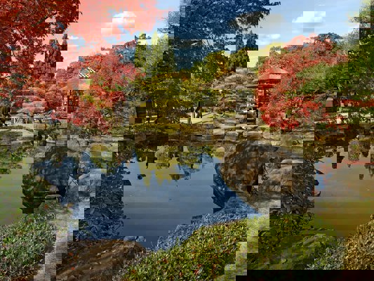 Kôko-en Garden in autumn