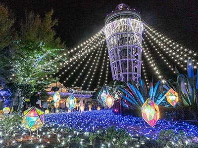 Illuminations of the Sea Candle