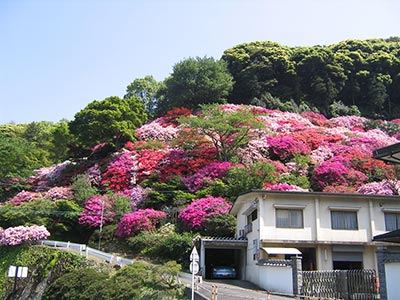 Tatsumaki Jigoku Garden