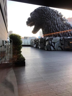 View from the terrace