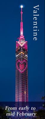 Valentine's Day Tour