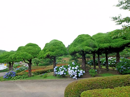 Nokonoshima Park