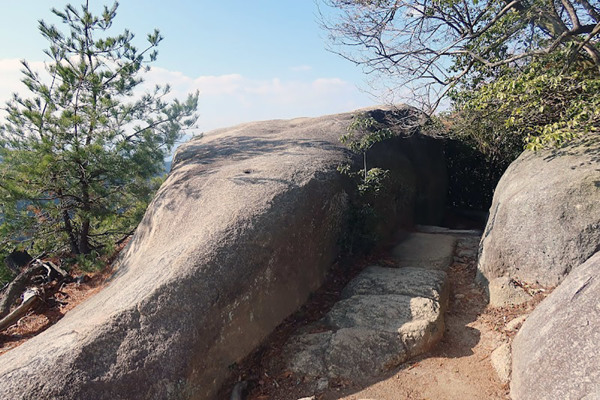 Whale Rock / クジラ岩