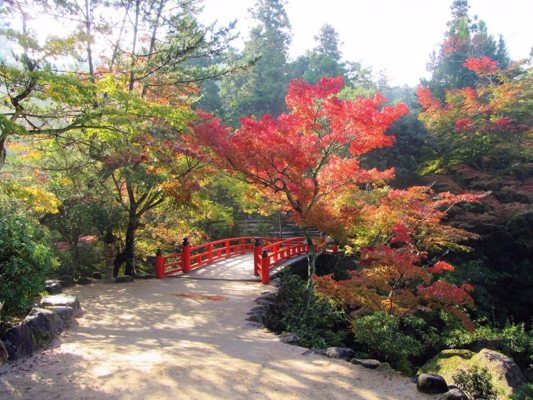 Momijidani Circuit Path