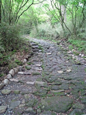 Old Tokaido Road